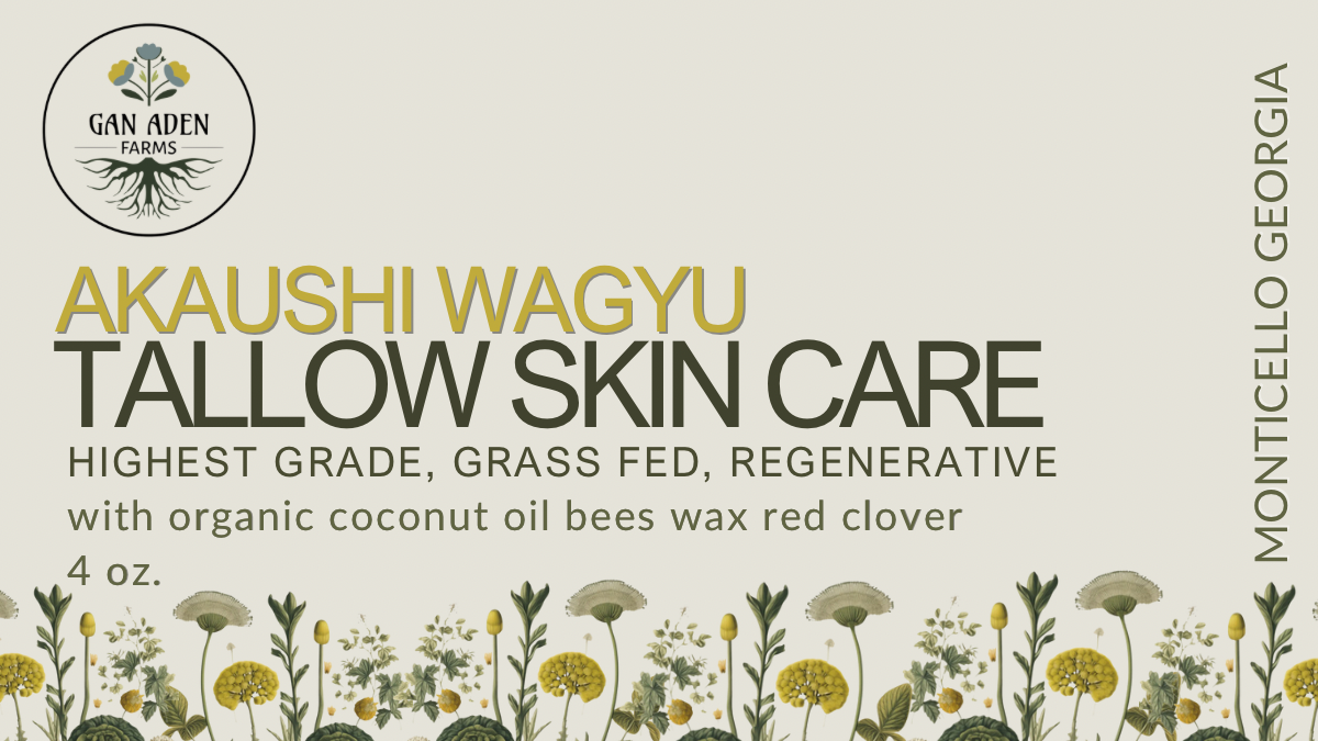 Travel size Wagyu Tallow skin cream