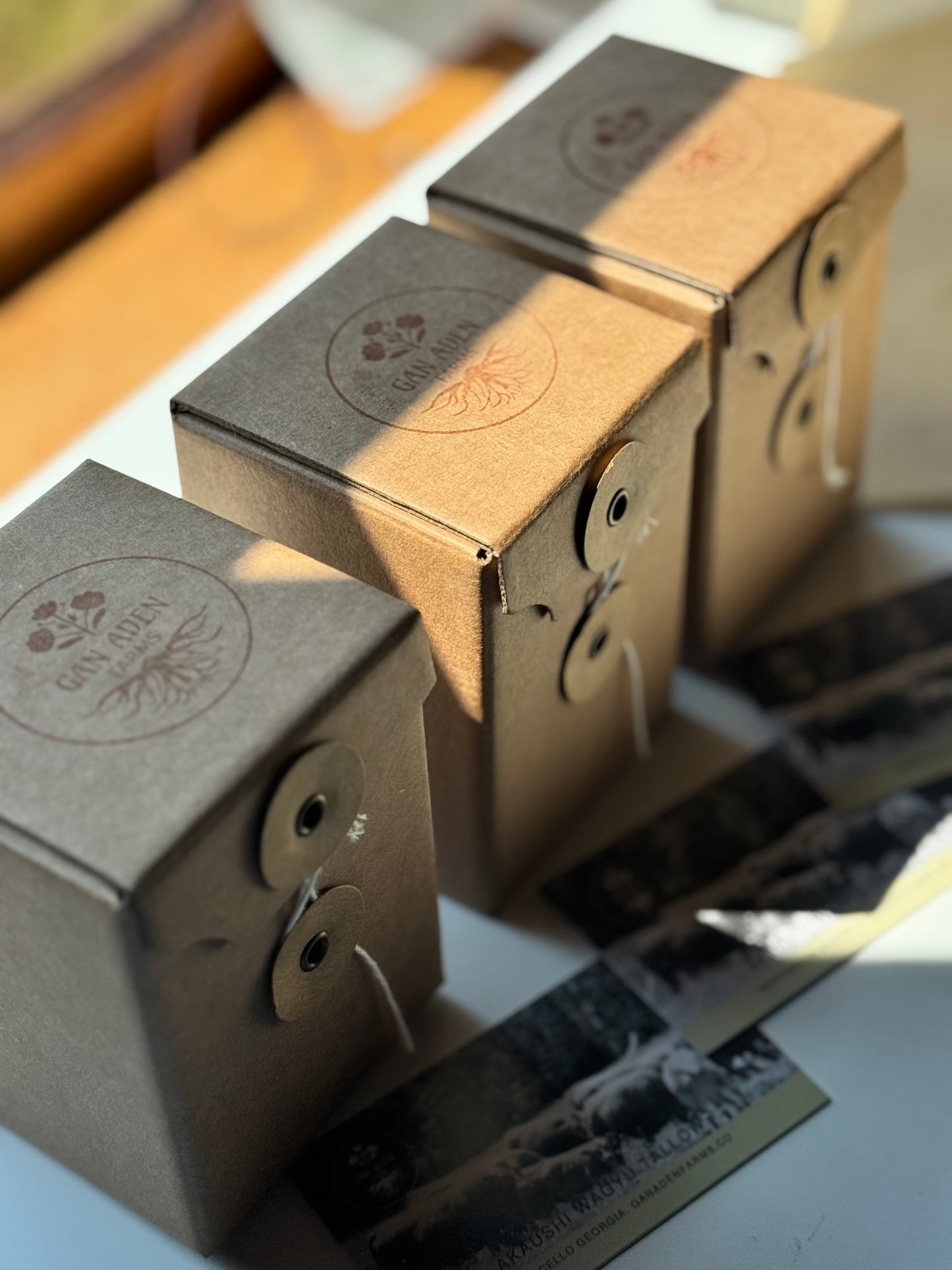 4 oz. In gift box. Wagyu Tallow skin cream