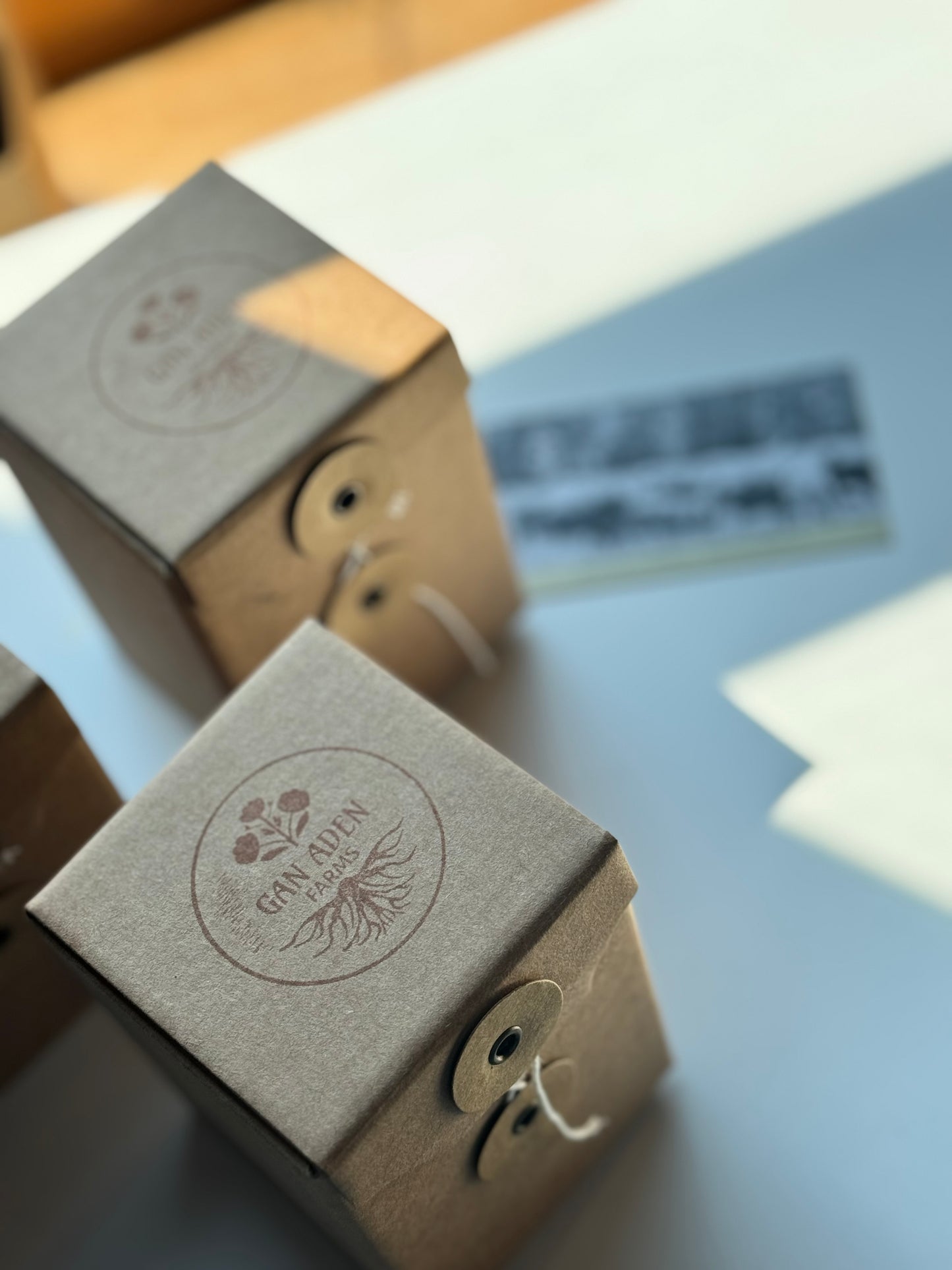 Travel size Wagyu Tallow skin cream