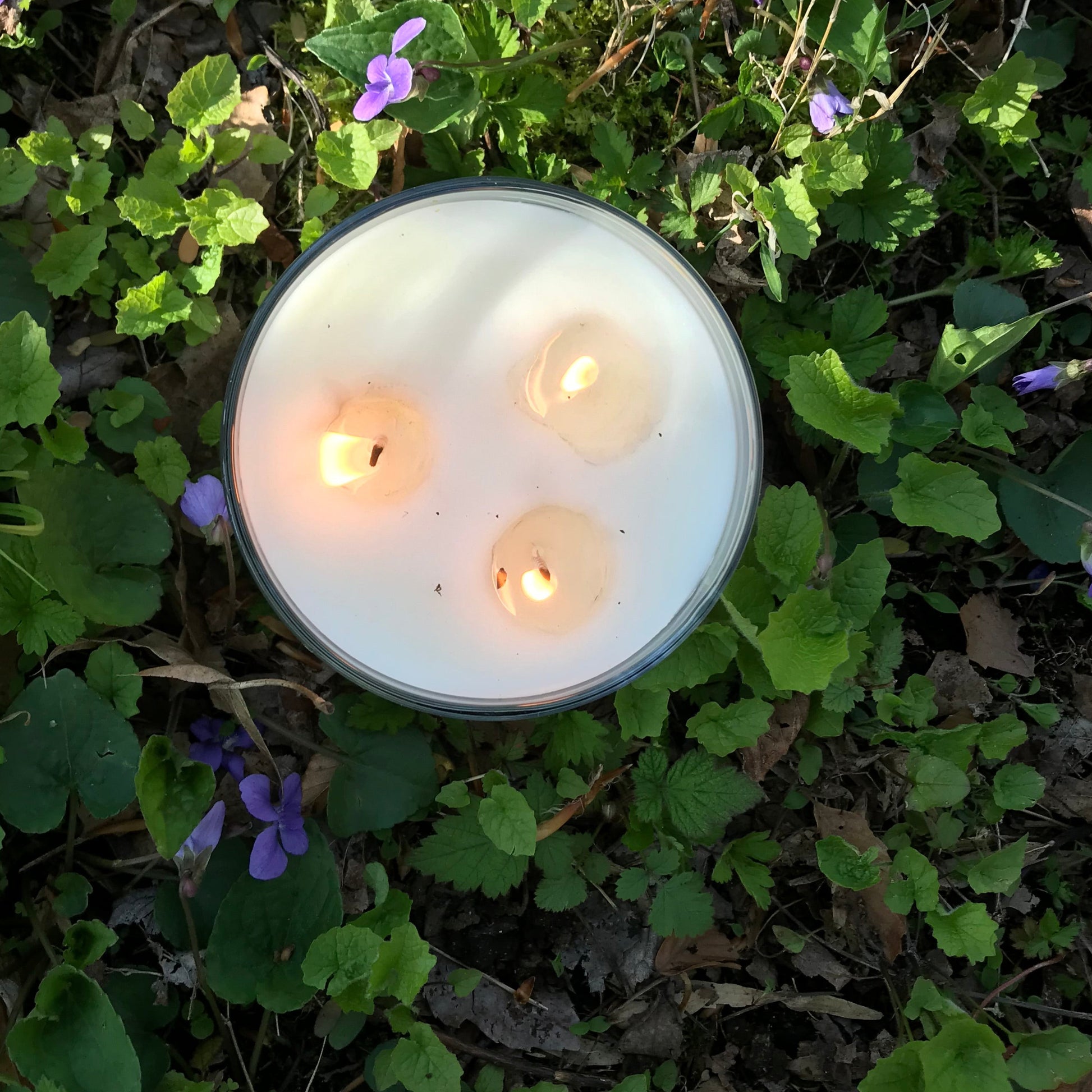 Candle with three flames placed on green grass and leaves