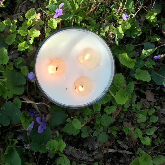 Candle with three flames placed on green grass and leaves